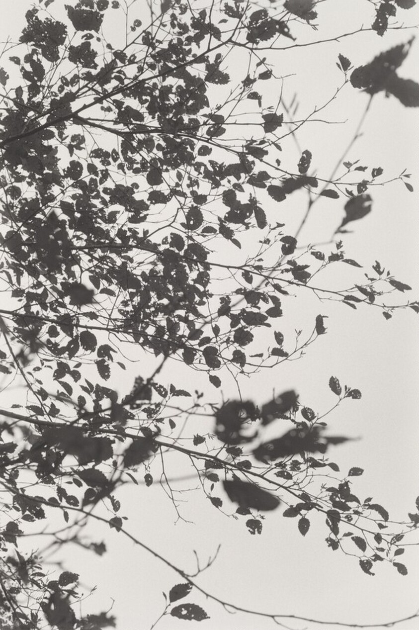 Neahkahnie Mountain, Oregon