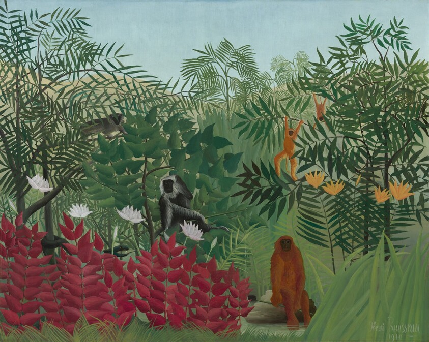 Tropical Forest with Monkeys
