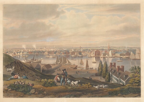 Baltimore from Federal Hill