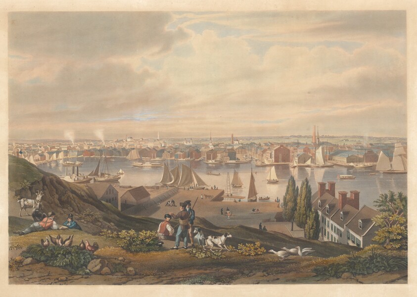 Baltimore from Federal Hill