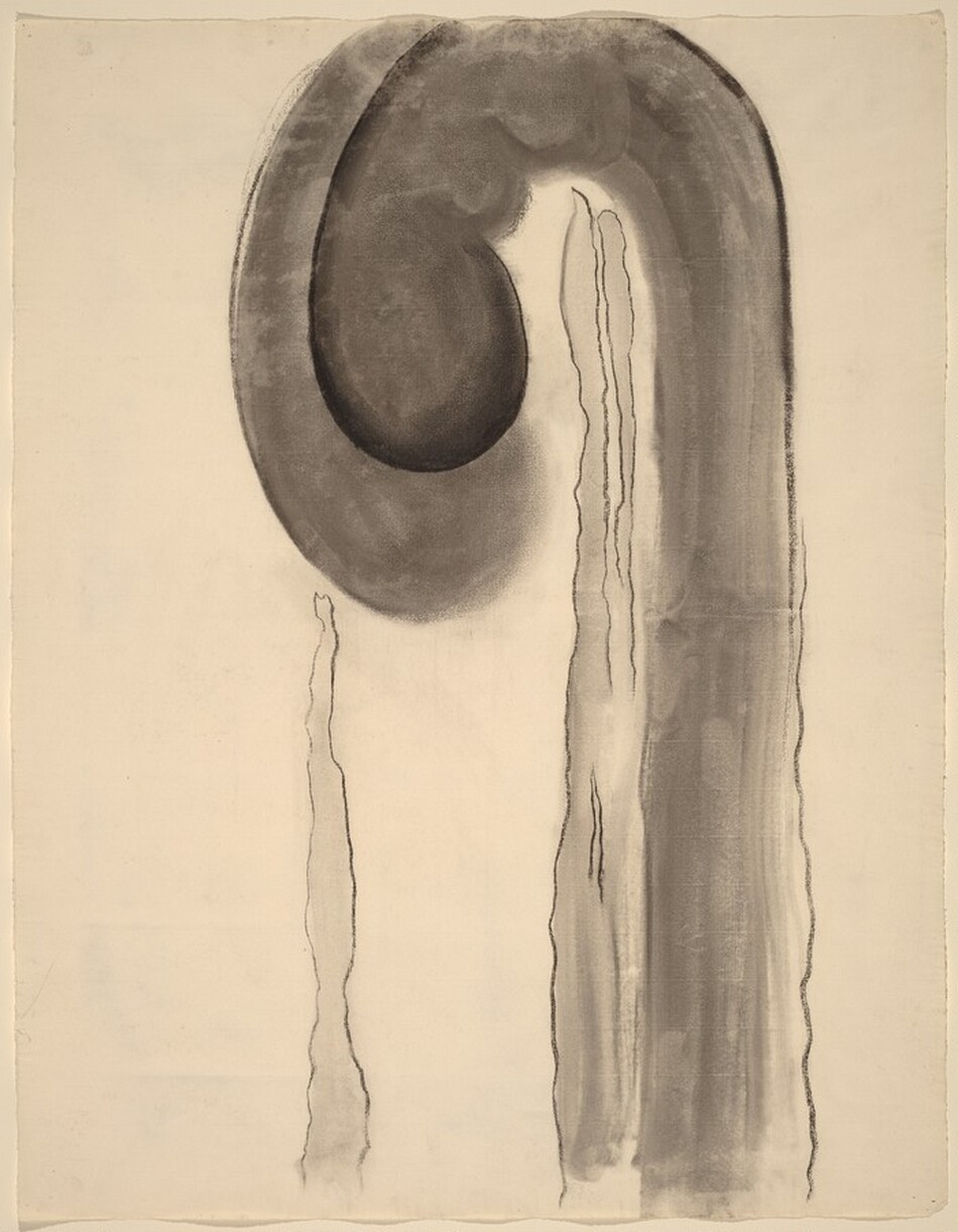 洋書 Georgia O'Keeffe 44bc180df7d82622e46bdddde27fed