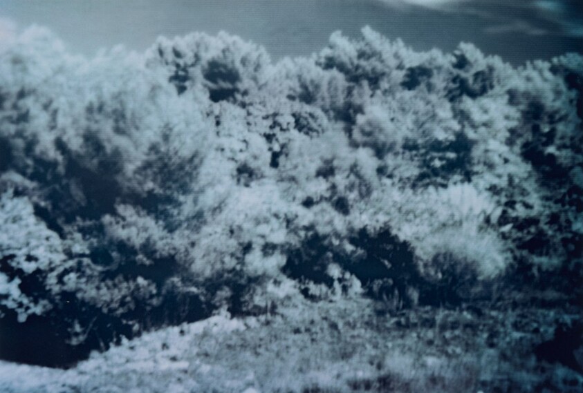 Surveillance video, Sophia Antipolis, France