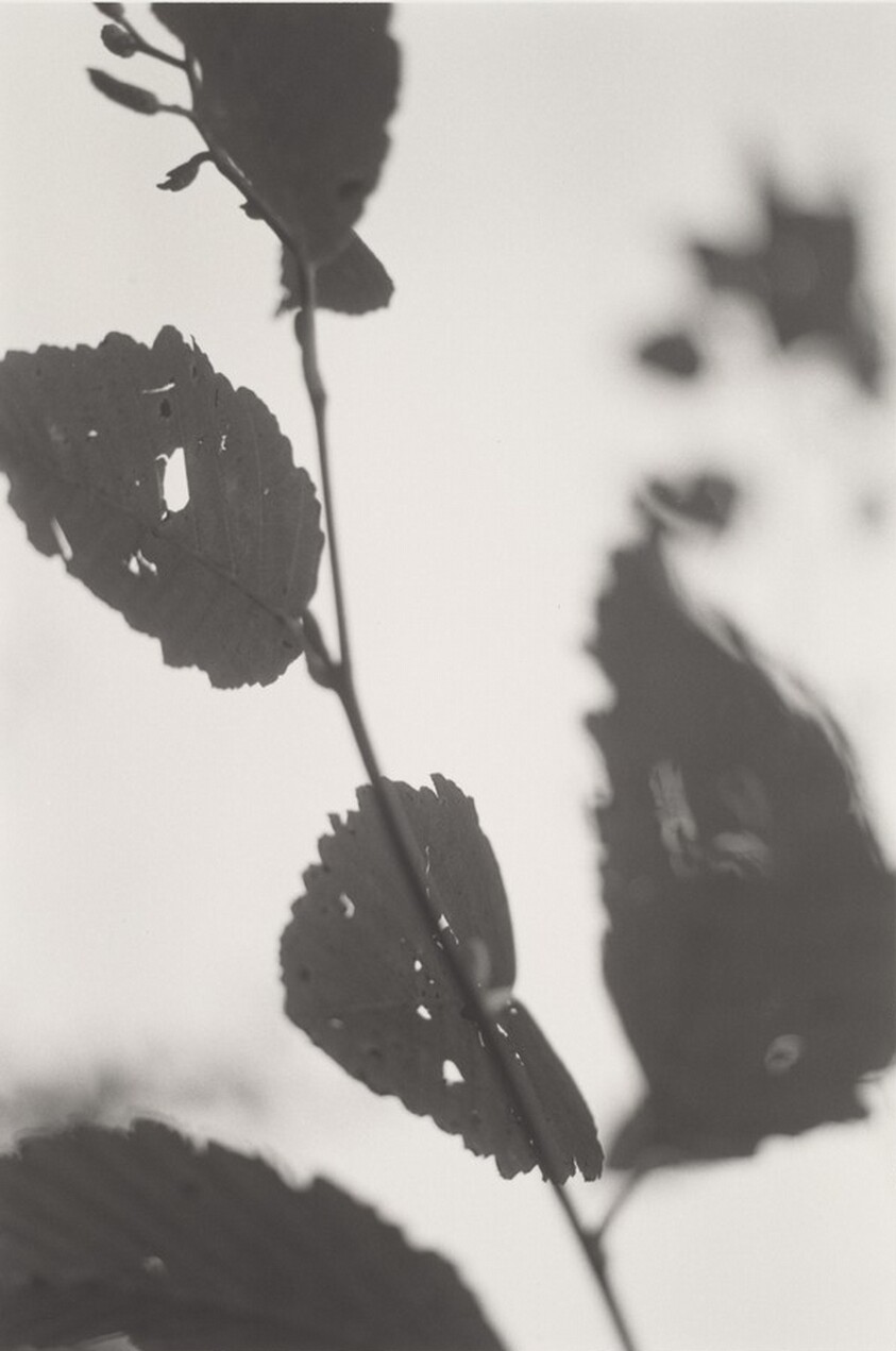 Neahkahnie Mountain, Oregon