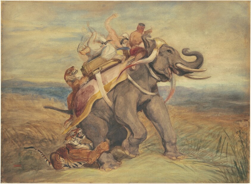 The Tiger Hunt