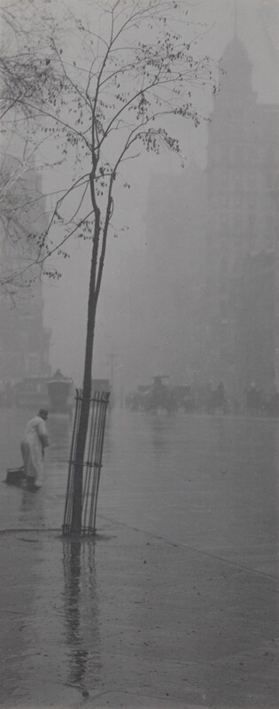Printed with silvery tones, a single tall tree with a spindly trunk and sparse canopy grows inside a round cage set into a sidewalk in this tall, narrow photograph. The tree is just left of center. A short distance away, a person wearing a light coat and a dark cap cleans the street along the gutter near the left side of the photograph. The sidewalk and street to our right gleams with rain, and horse-drawn carriages are like smudged silhouettes in the hazy distance. Skyscrapers are outlined against a misty sky in the top half of this picture.