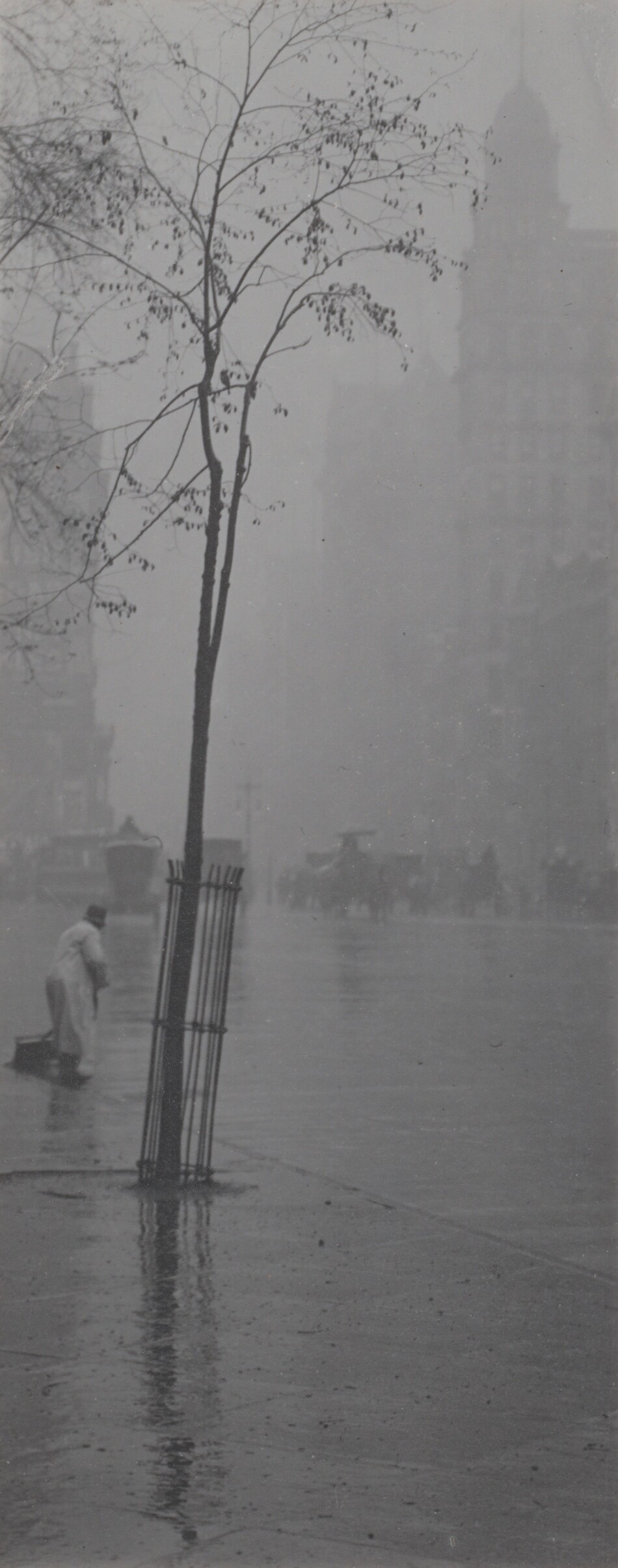 Printed with silvery tones, a single tall tree with a spindly trunk and sparse canopy grows inside a round cage set into a sidewalk in this tall, narrow photograph. The tree is just left of center. A short distance away, a person wearing a light coat and a dark cap cleans the street along the gutter near the left side of the photograph. The sidewalk and street to our right gleams with rain, and horse-drawn carriages are like smudged silhouettes in the hazy distance. Skyscrapers are outlined against a misty sky in the top half of this picture.