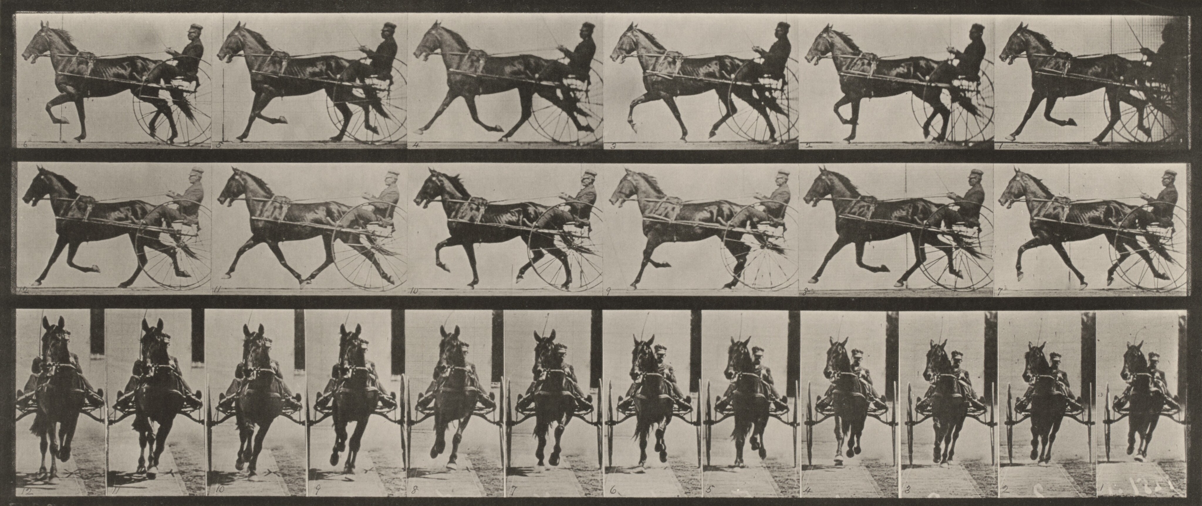 アート・デザイン・音楽 Eadweard Muybridge. Smarthistory – Eadweard Muybridge, The Horse in Motion