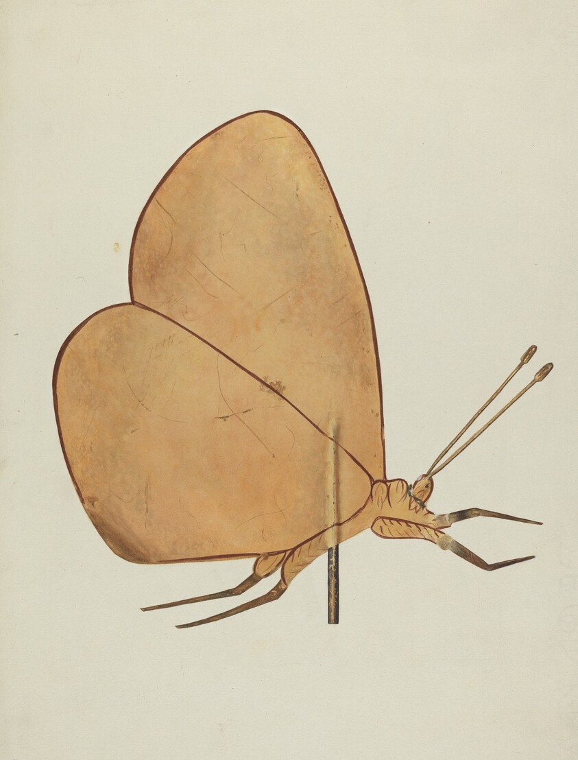 Butterfly Weather Vane