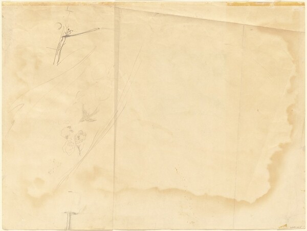 Study for "Wind from the Sea" (verso)