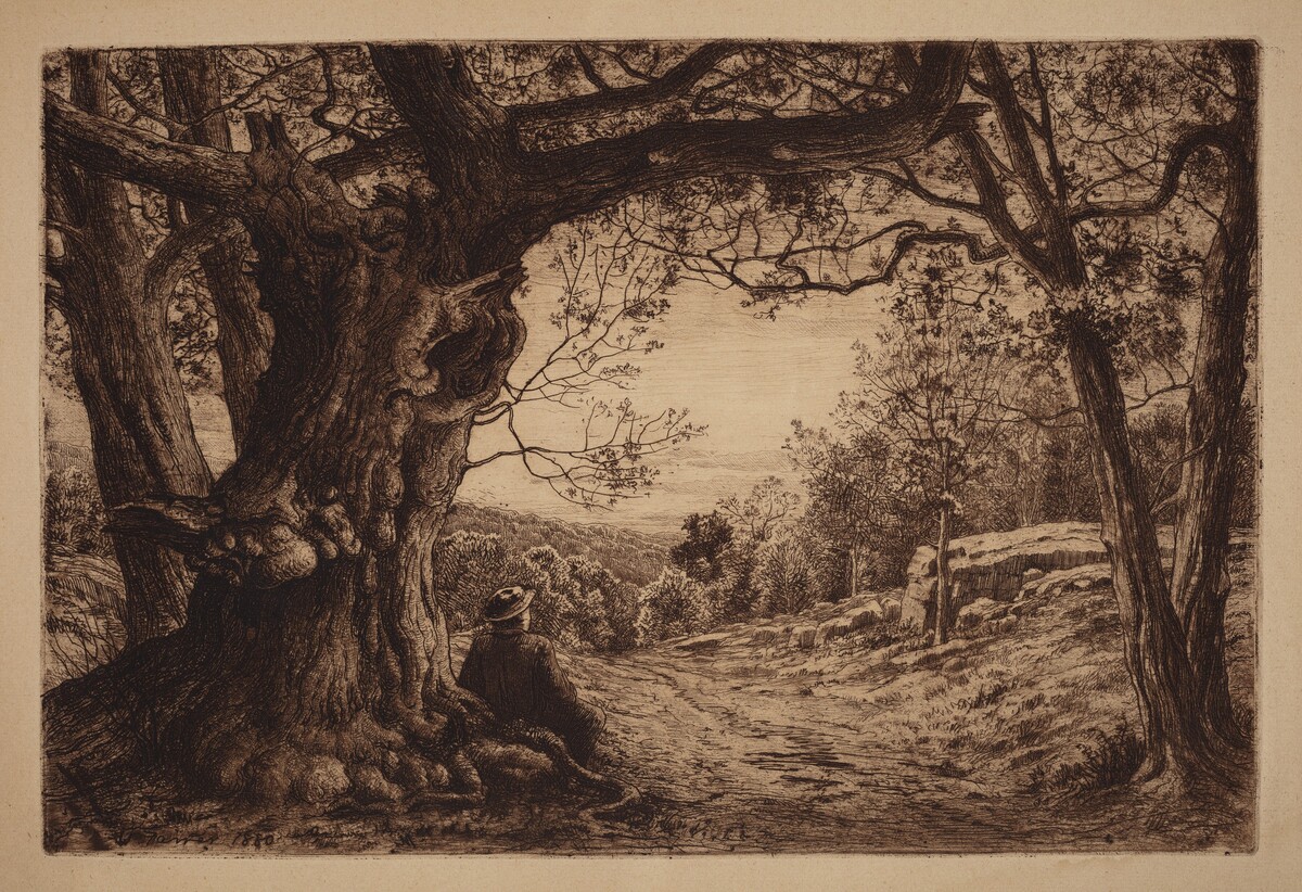 On The Hillside