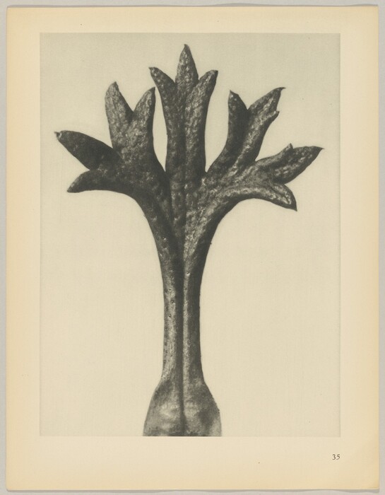 The sculpture in the image is an abstract form resembling a tree with multiple branches extending outwards like a fan. The material appears to be a dark, metallic substance, likely metal or bronze, highlighted with a rough texture that gives an earthy quality to its surface. The sculpture's color is a deep, dark gray or black, with subtle variations and reflections. In relation to humans, the sculpture stands upright with a sturdy base and branches extending outwards, suggesting a moderate size when scaled to human dimensions.