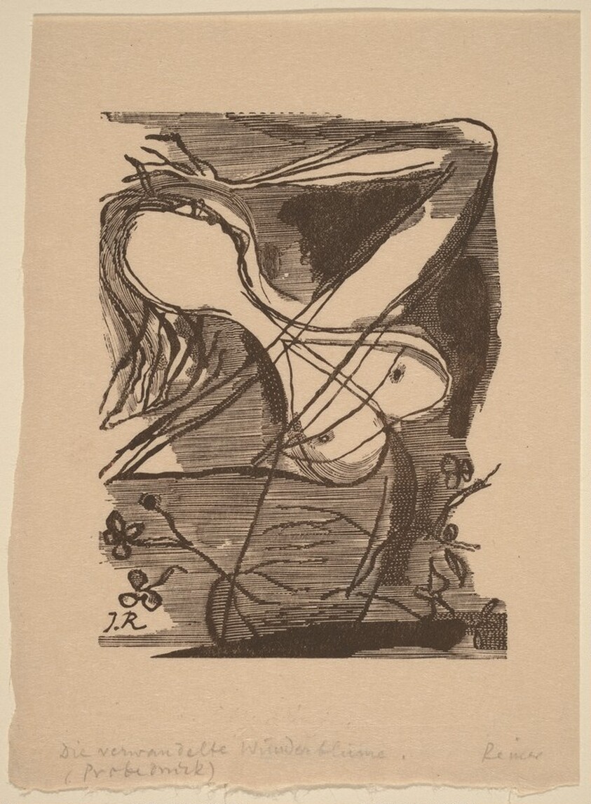 Die Verwandelte Wunderblume