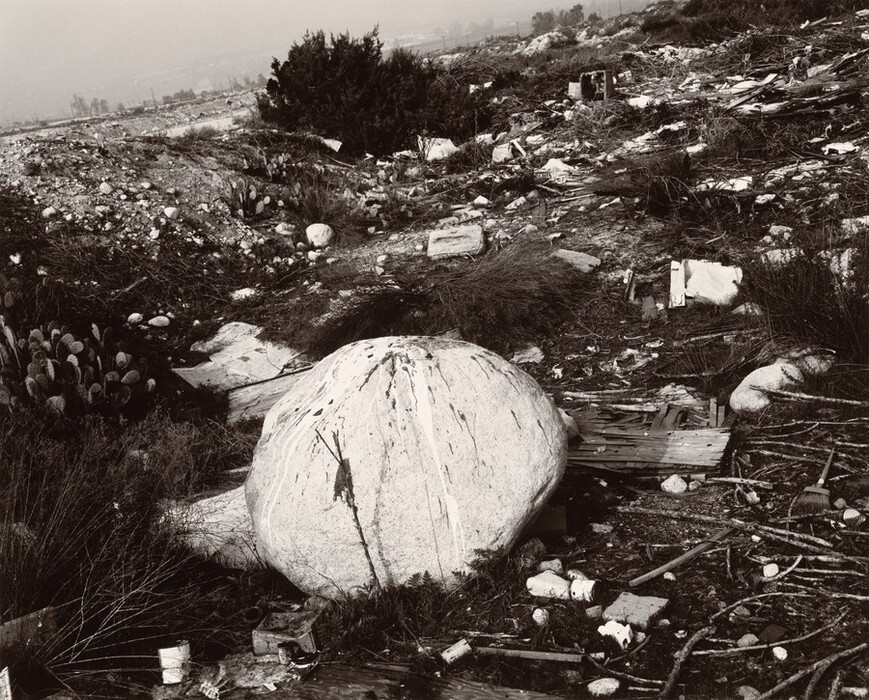 The image depicts a cluttered landscape seen from a ground-level perspective. A large boulder with marks on its surface is surrounded by a mix of natural vegetation and discarded items, such as planks and cans. The horizon is obscured by trees and shrubs in the distance, creating depth in the scene. The color scheme is monochromatic, emphasizing the textures and contrasts between the rock, vegetation, and litter. The photo captures intricate details of the rugged scene.