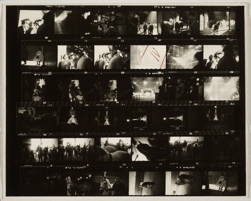 Circus--New York City IV