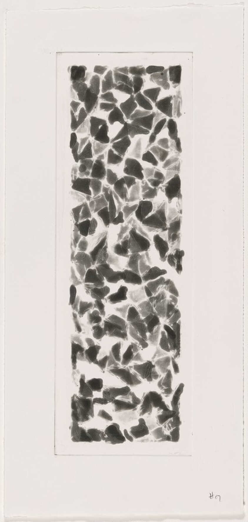 Color & Black, 30 x 17, No. 1 [working proof 4]