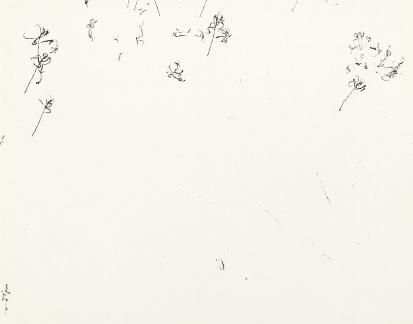 Weeds in Snow, Rhode Island