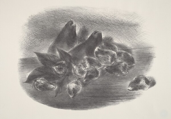 Two Pears and Strawberries—(Still Life)