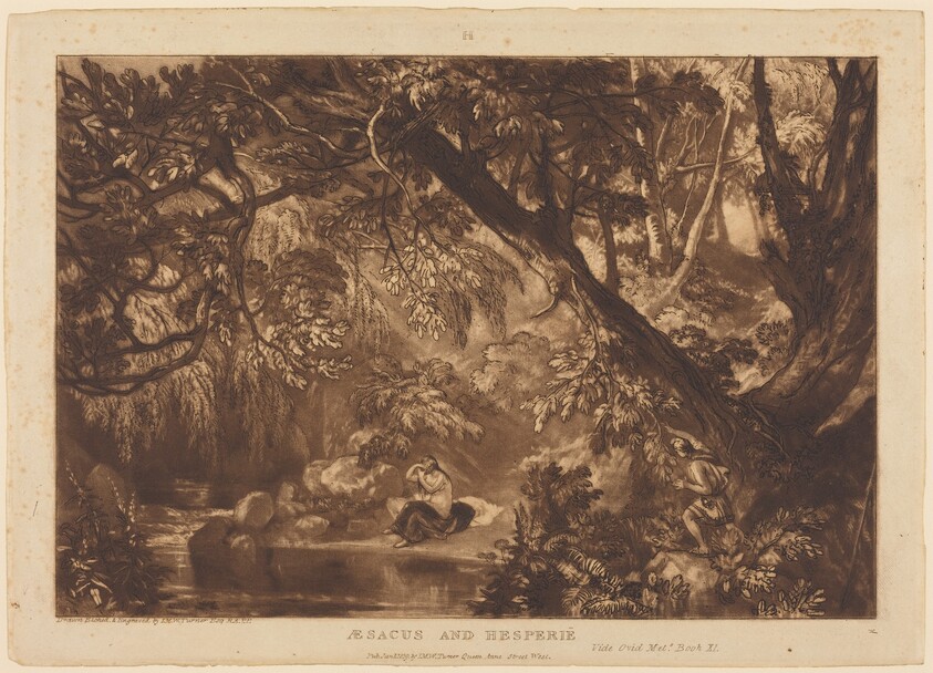 Aesacus and Hesperie