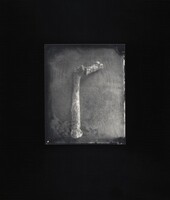 Untitled, Sally Mann, 2000-2001