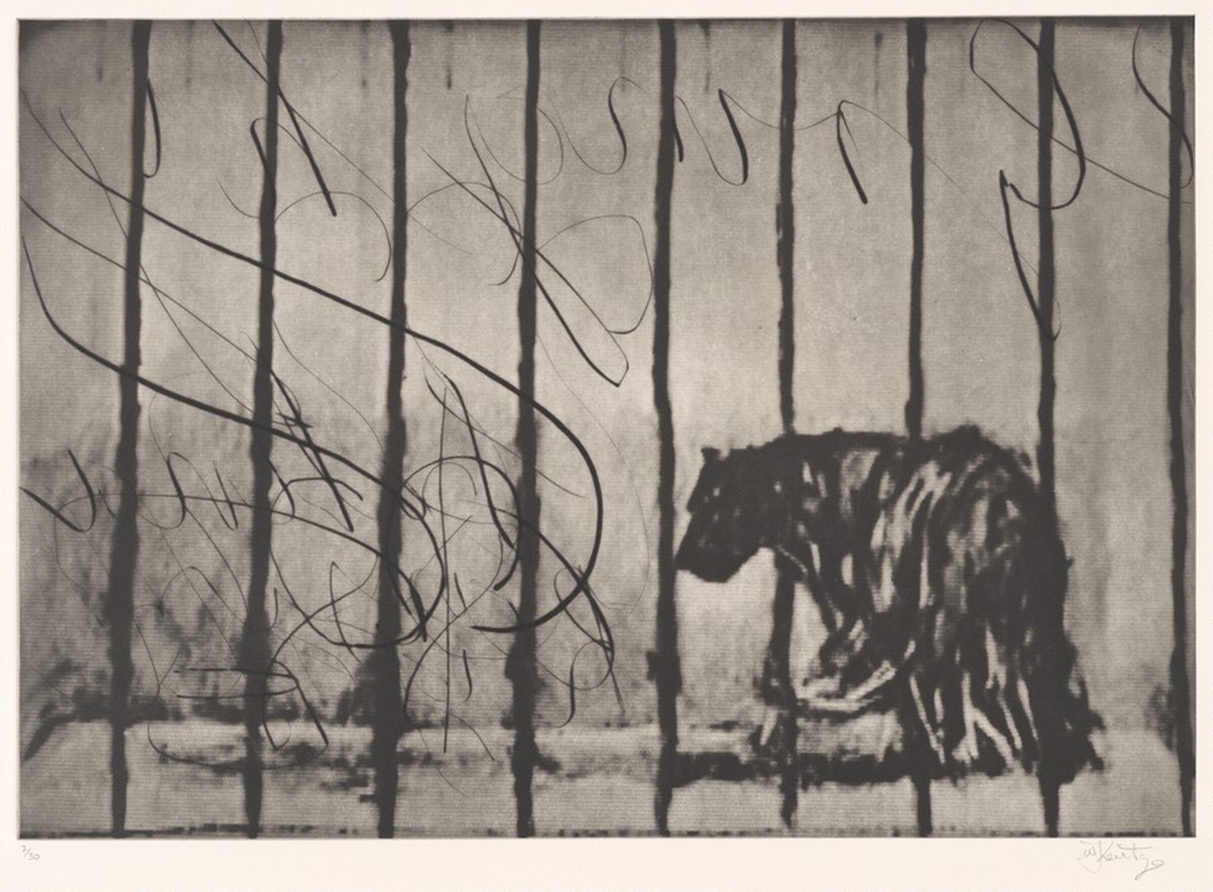 Caged Panther, William Kentridge, 2003