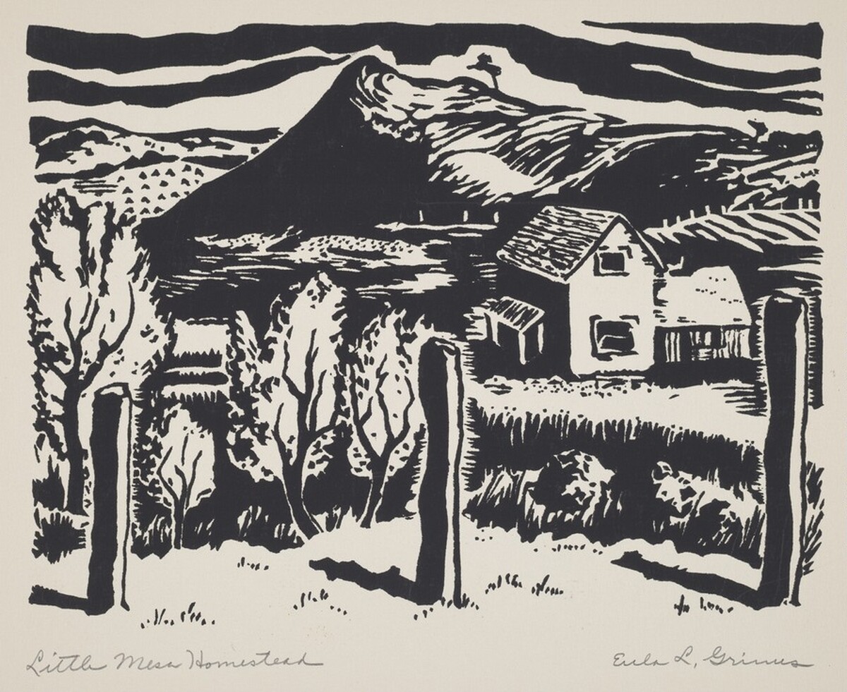 Little Mesa Homestead