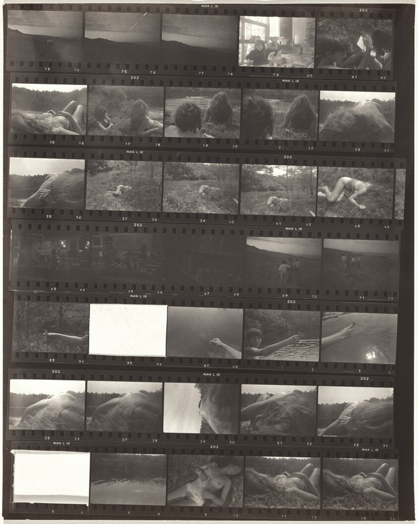 Family--Wellfleet 11