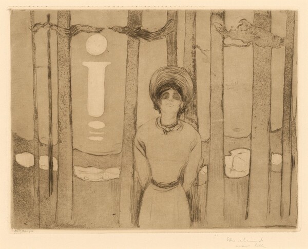 Summer Evening (Sommernacht)