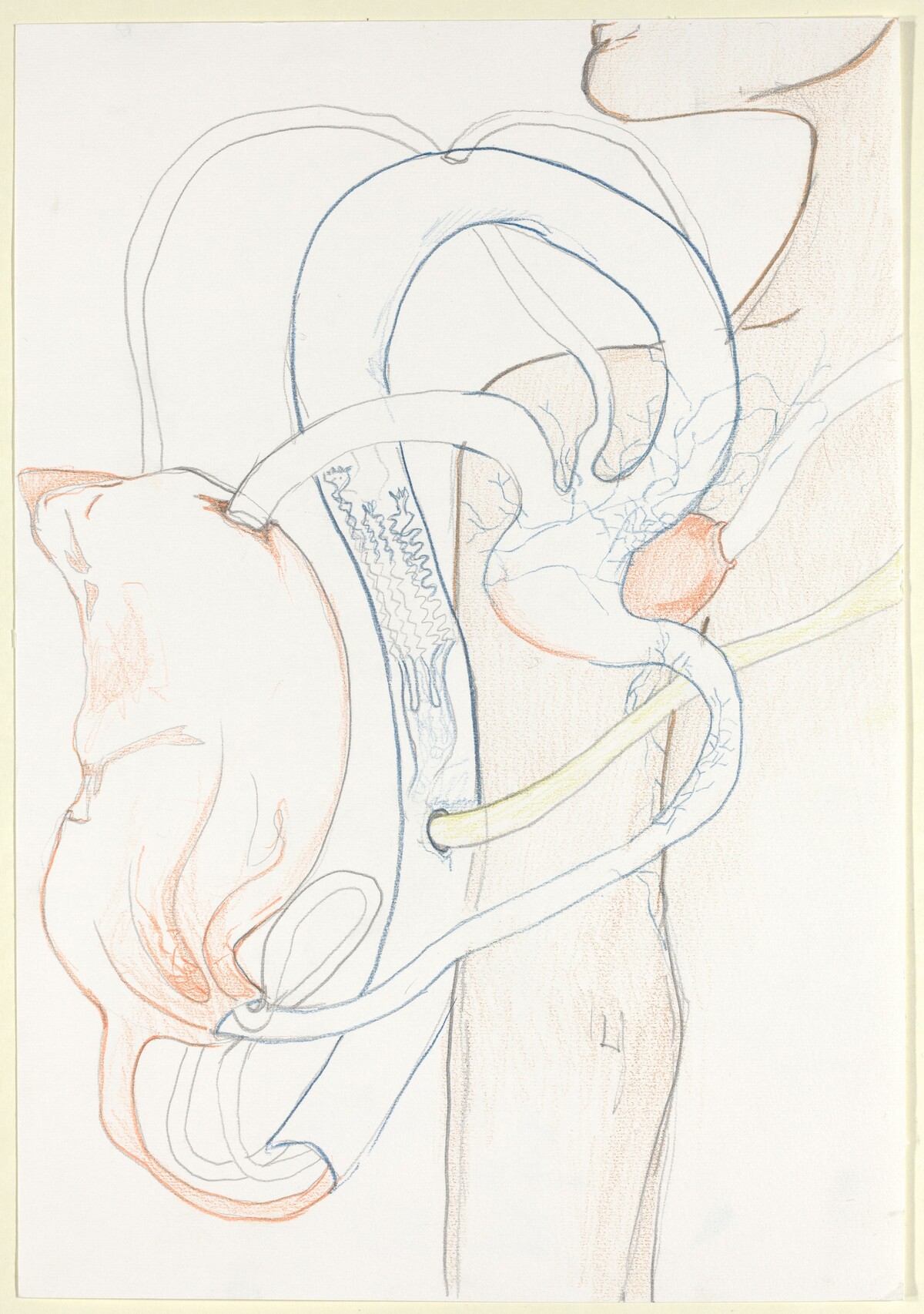 Armpiece for Creature