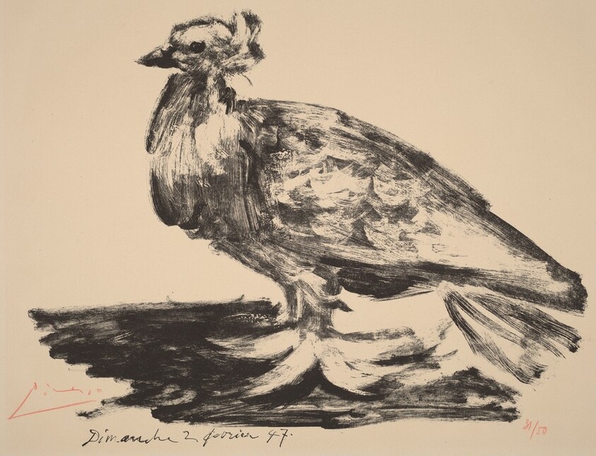 The Large Pigeon (Le gros pigeon)