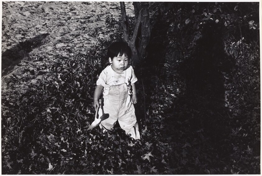 Central Park, New York City