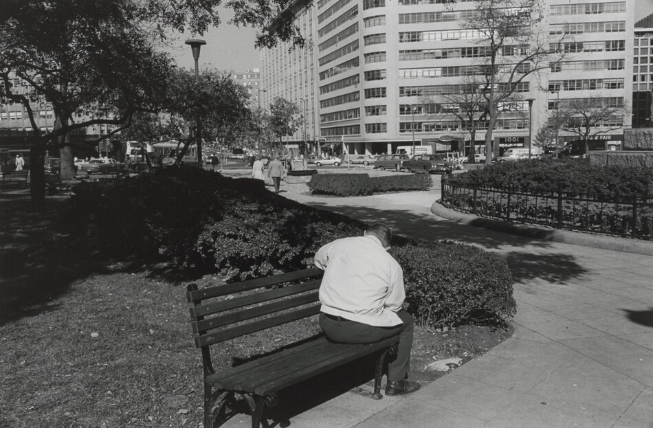 This is a photograph of an urban park scene. The image shows a bench surrounded by shrubs and trees, with a high-rise building in the background, cars parked along the street, and other benches scattered around the park. The sun is shining, casting shadows on the ground and creating a play of light and shadow in the scene.