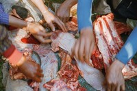 Fresh Water Buffalo, Hòa Bình Province, Vietnam 1994, Mitch Epstein, 1994, printed 2025