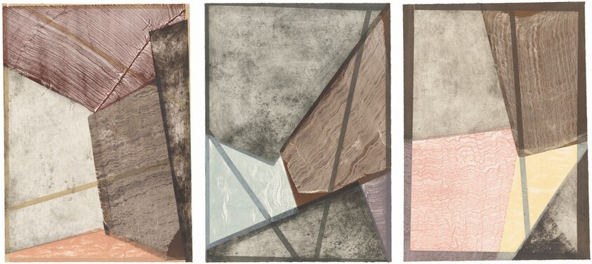 The Colors of a Cholla Cactus After Rain in the Late Summer or Early Fall