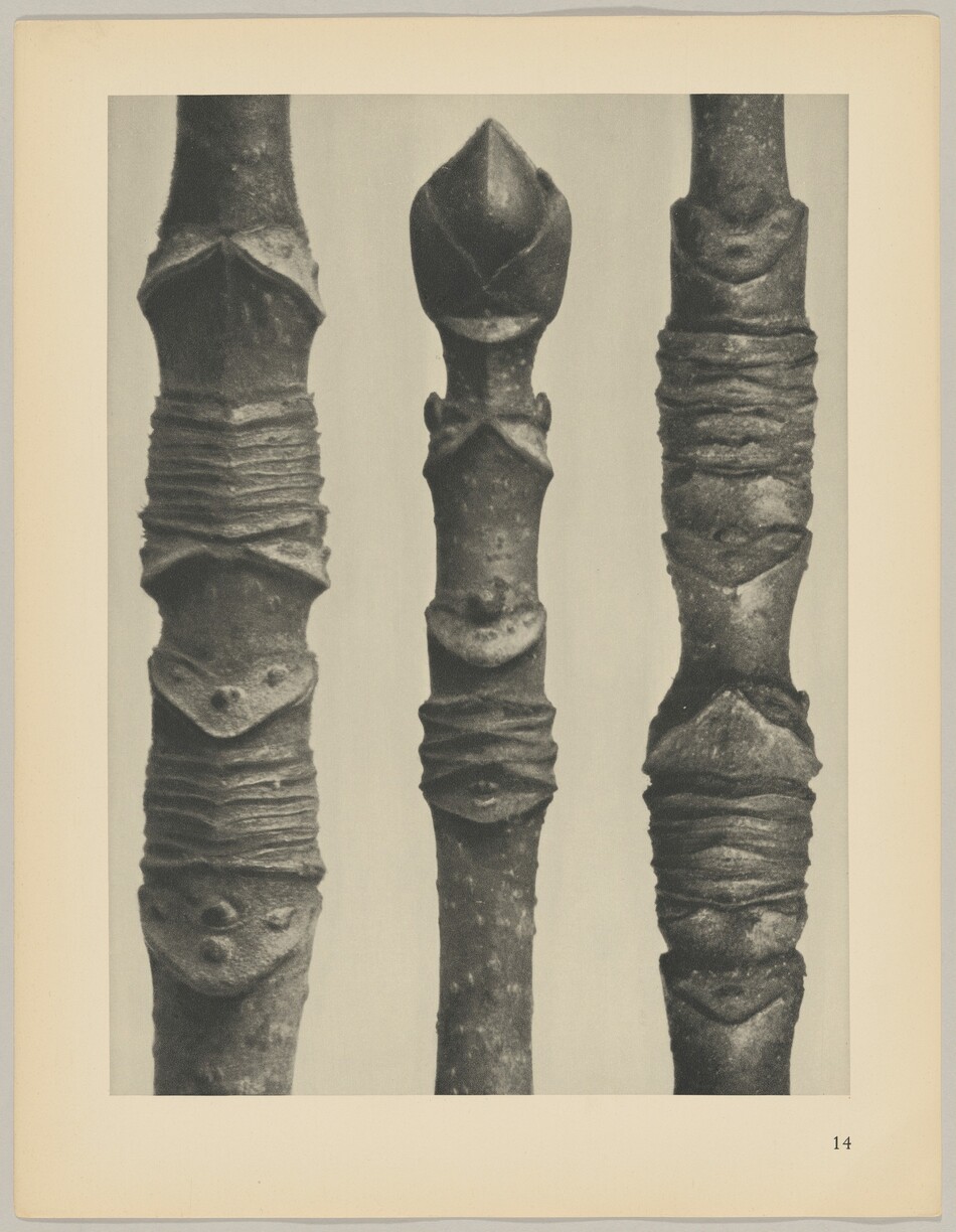 The image shows three elongated cylindrical forms with horizontal ridges and protruding nodes. The forms have a textured pattern and segmented sections, giving them an organic appearance.