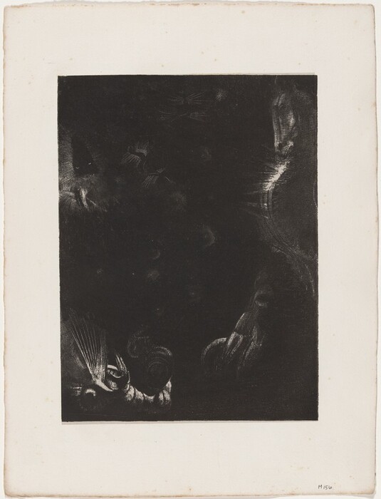 The image shows a black background with abstract shapes and lines throughout. The shapes resemble swirling patterns and forms. Lighter areas mimic textures like feathers or fabric. Some parts suggest familiar objects like masks or eyes, adding mystery to the composition.