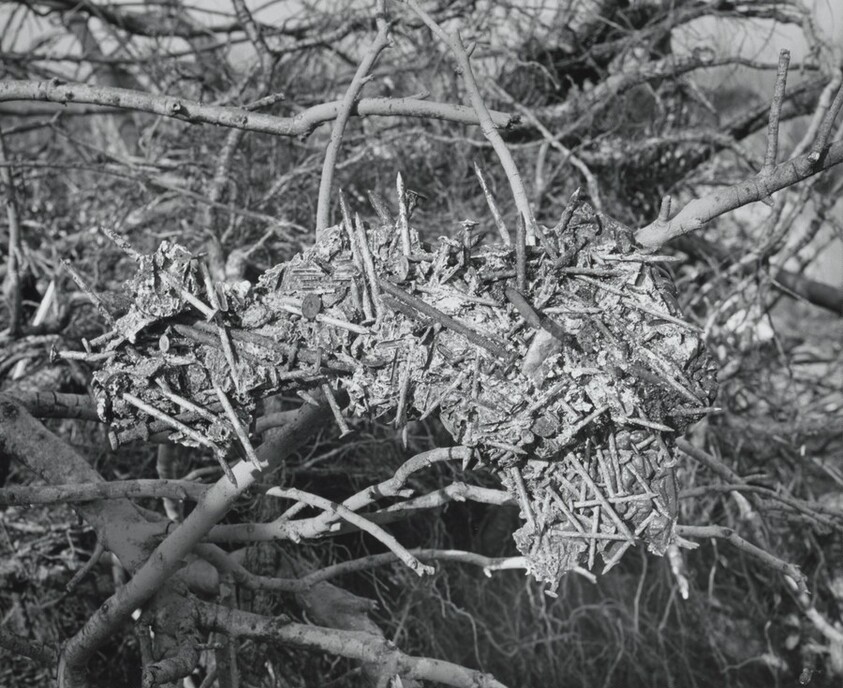 San Quentin Point, no. 40J