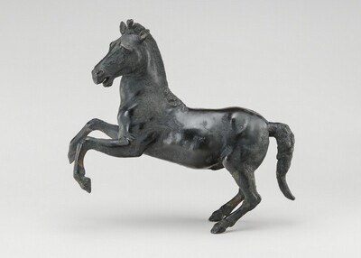 Rearing Horse