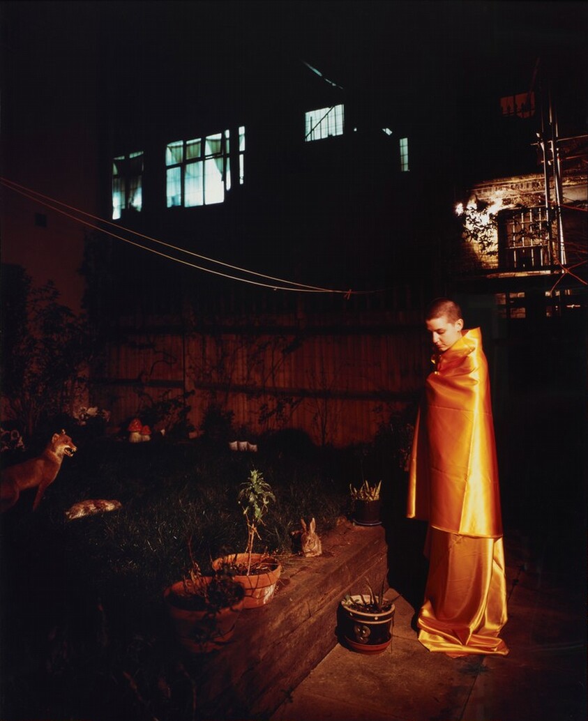 Bounding Buddhist Rushes to the Rescue of Neighbor's Pets