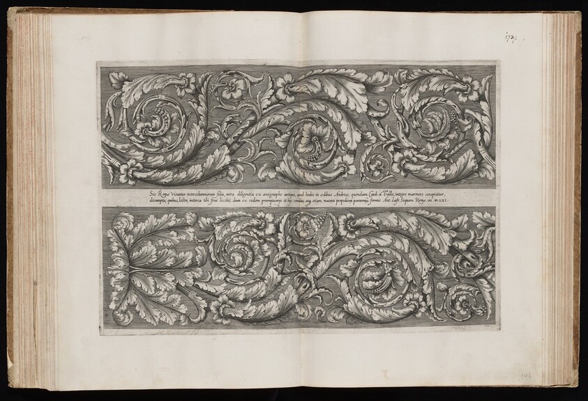 Acanthus Scrolls