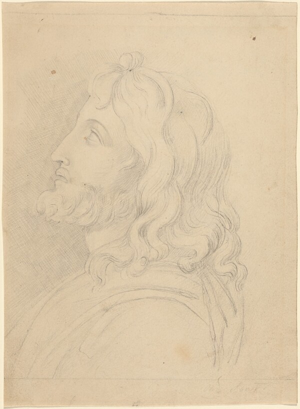 Bust of a Bearded Man Looking Up