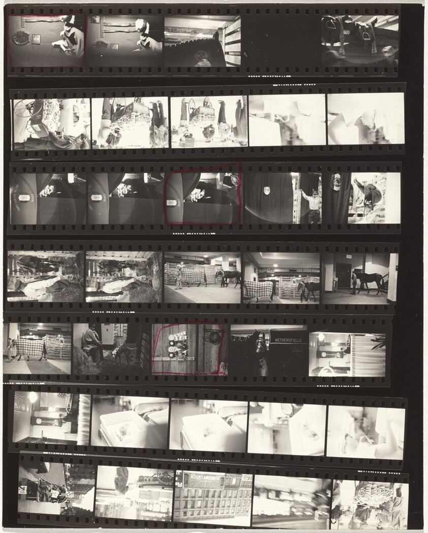 Horse show opening no number