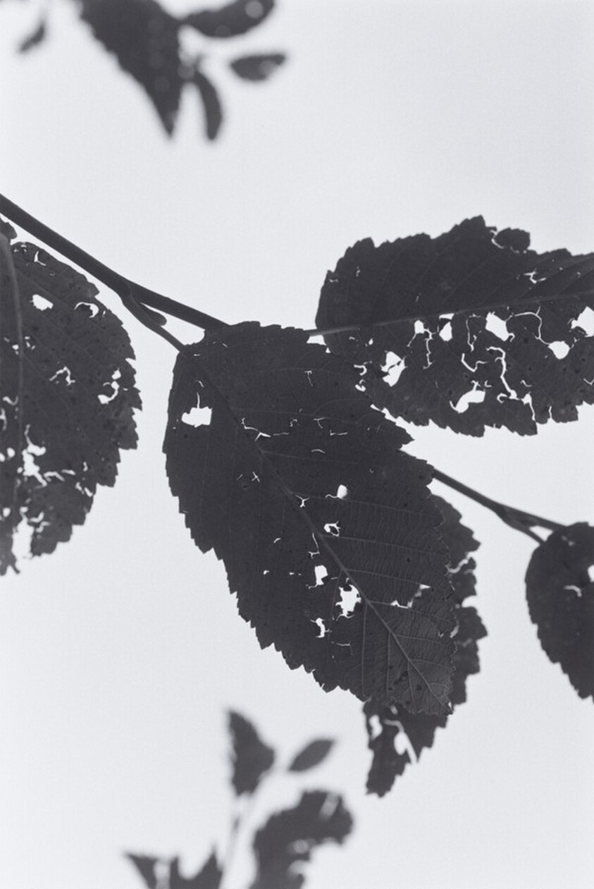 Neahkahnie Mountain, Oregon