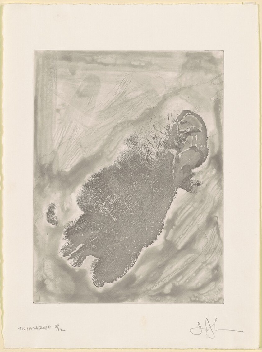 Face [trial proof 8]