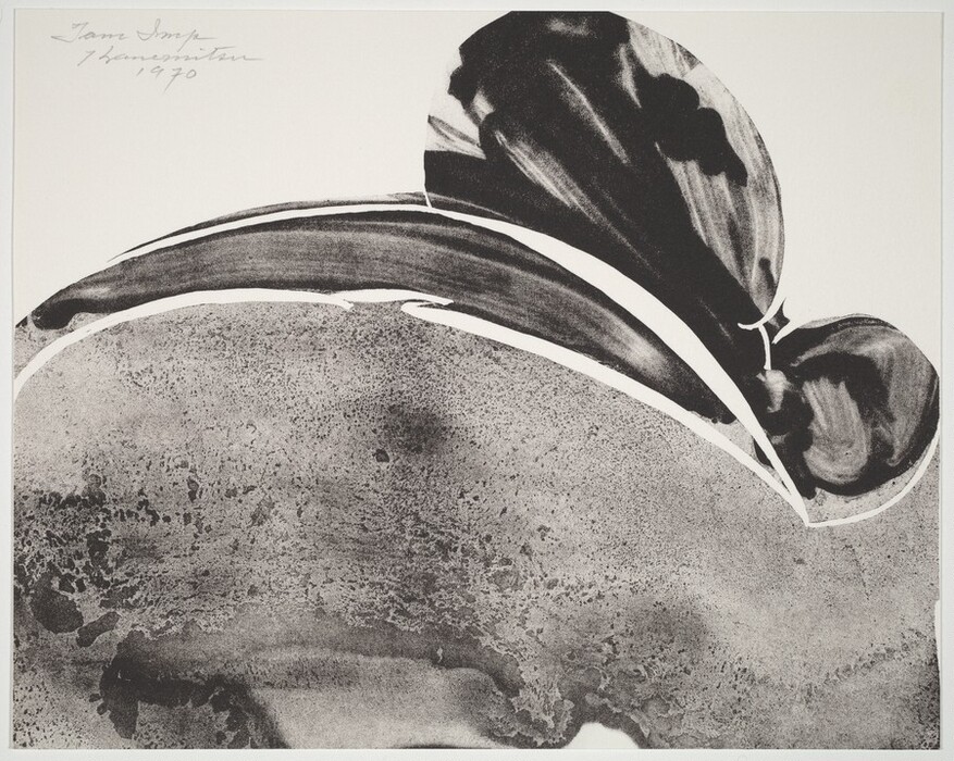 The image consists of sweeping curves and lines in the upper part, creating an abstract tone. The swirling, layered forms look like overlapping petals or leaves. Below is a textural area with speckles and gradients, possibly resembling a rocky or sandy landscape. The play of light and shadow in the monochrome design adds to its dynamic abstract quality, suggesting the edge of a horizon or the slope of a hillside.