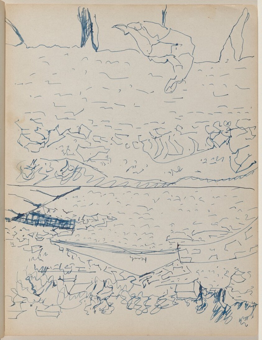 Studies of the Rocky Shore