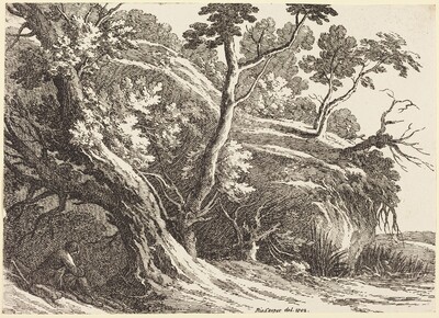 Landscape with Large Trees