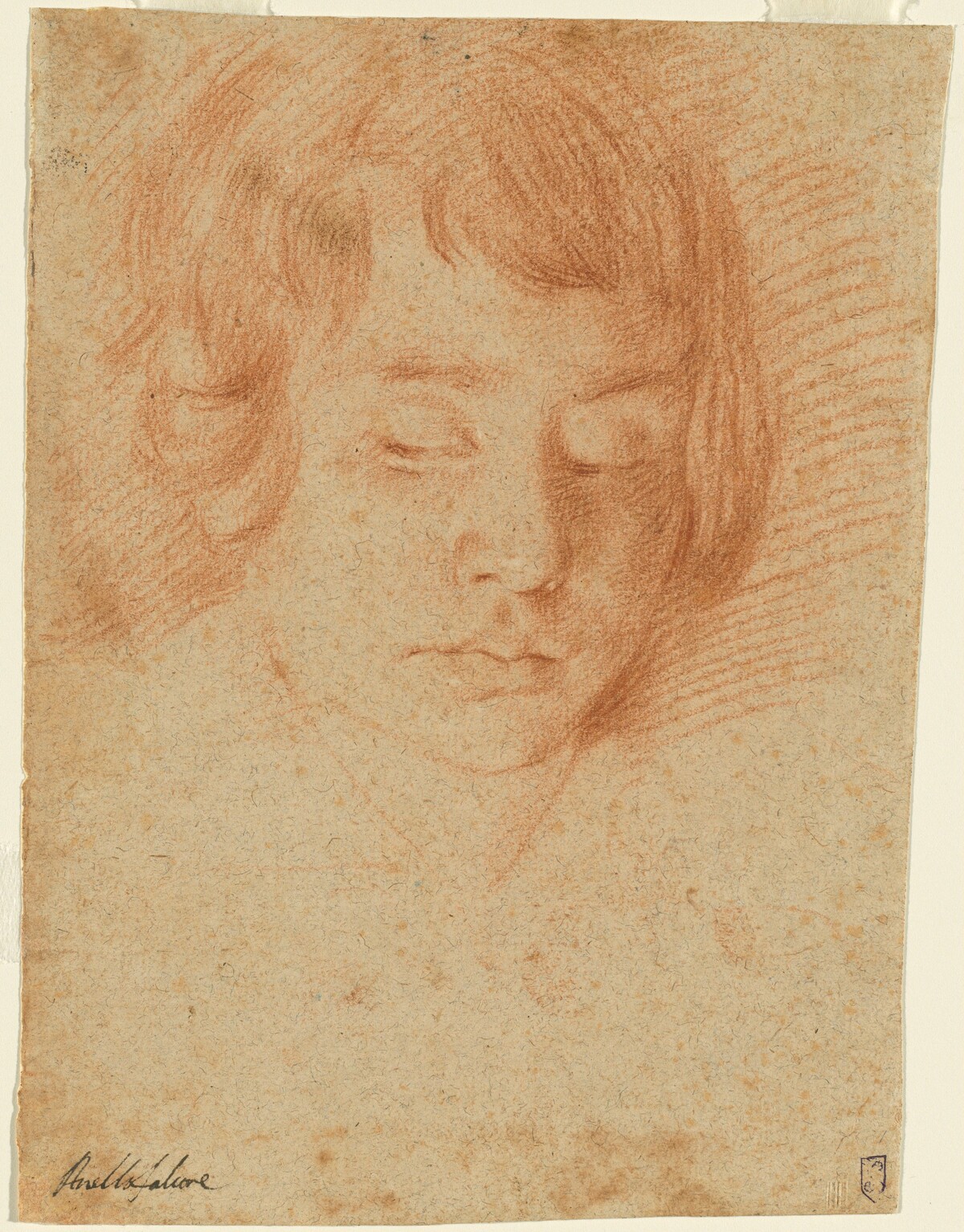 Head of a Boy (Gennaro Falcone?)