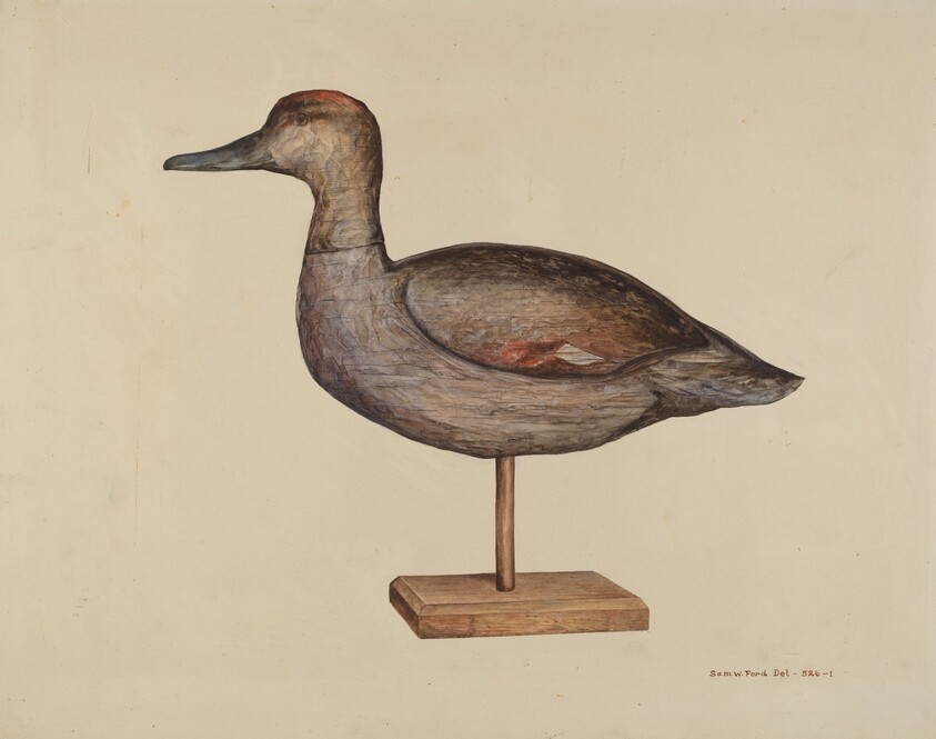 Gadwall Decoy