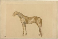 Horse, Edgar Degas, c. 1890