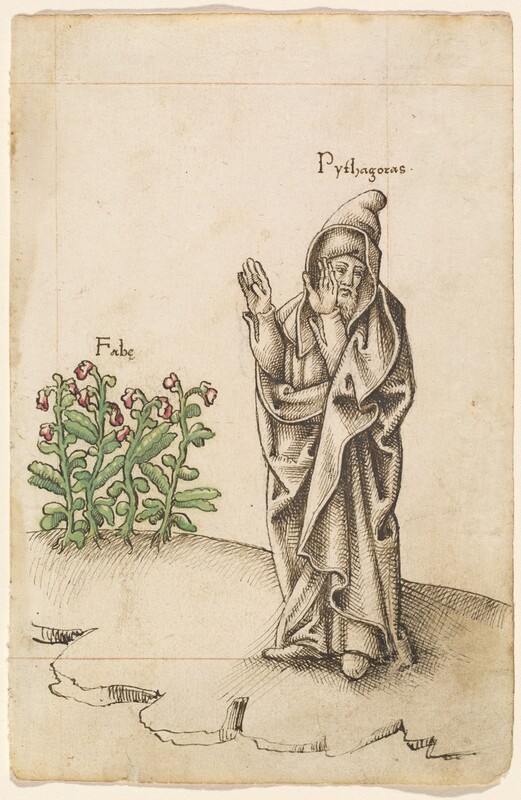Drawn using pen and brown ink on cream-colored paper, a robed man to our right holds up both hands and looks away from a plant in this vertical composition. A hood covers the man’s head, and he has a long beard. His hands shield his face from the plant to our left, which is painted with watercolor to give it green leaves and stems and dark pink flowers. A handwritten name above the man reads, "Pythagoras." The plant is labeled “Fabe.” A crack splits the ground from the bottom right corner of the paper across the page.